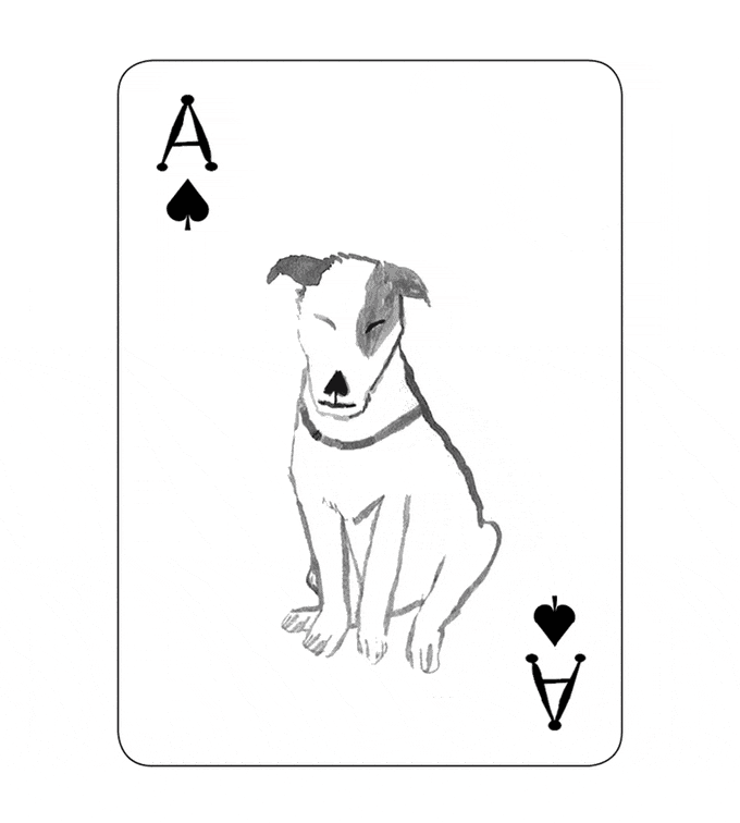 cartas de perros 8
