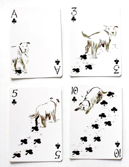 cartas de perros 7