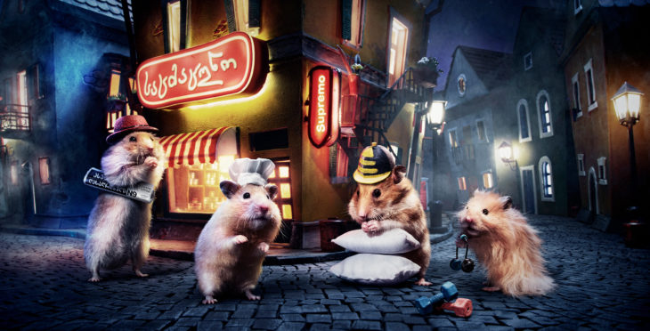 ciudad hamster 3