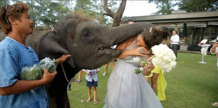 foto boda arruinada 2