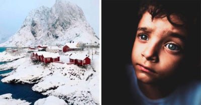 19 Impresionantes fotografías tomadas con un iPhone; las ganadoras del premio Ippawards 2017