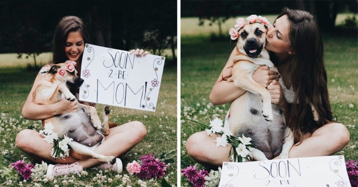 Esta chica realizó una sesión de fotos a su perrita embarazada 