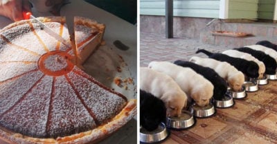 25 Imágenes que te volverán loca si eres amante del orden; son la peor tortura