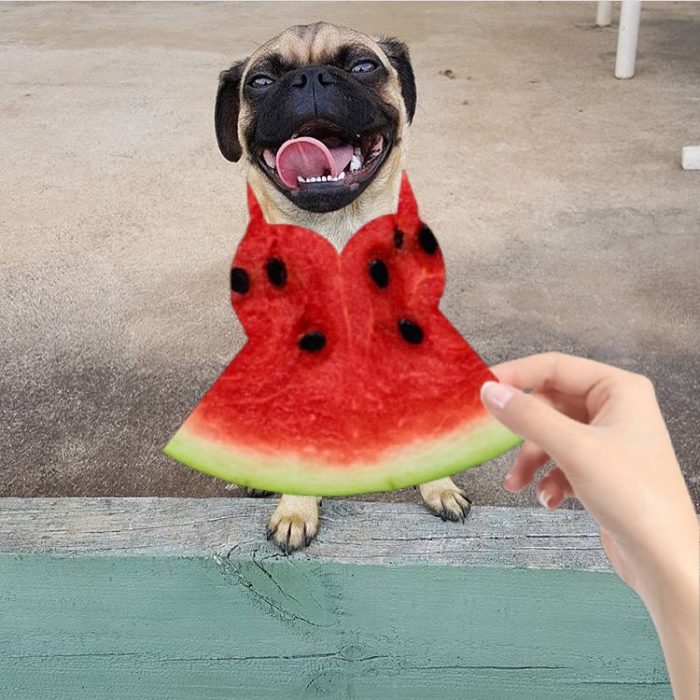 Chica usando la tendencia de vestido de sandía 