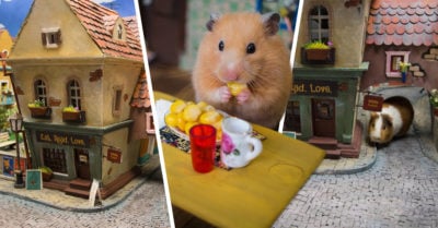 Yumville, la adorable ciudad creada especialmente para hámsters; es lo más tierno que verás hoy