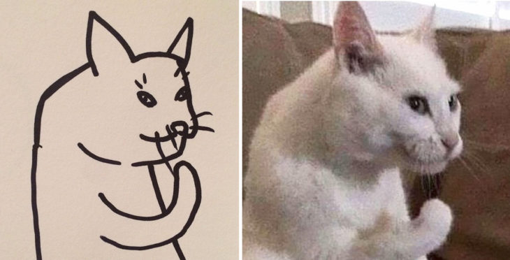 dibujo gato