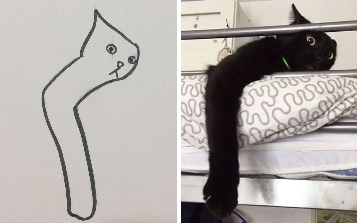 Включи видео где котик. Коты рисунки. Идеи для рисунков с котами. Кривой рисунок кота. Смешные коты рисунки.