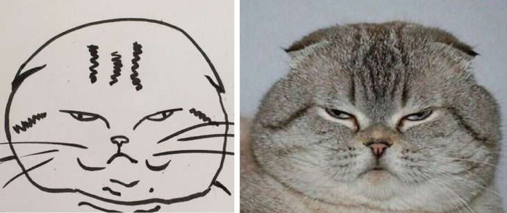 dibujo gato