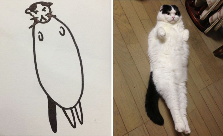 dibujo gato