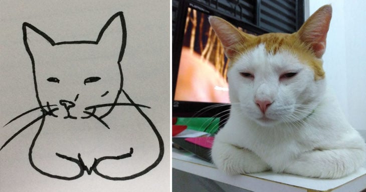 dibujo gato