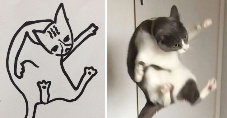 dibujo gato