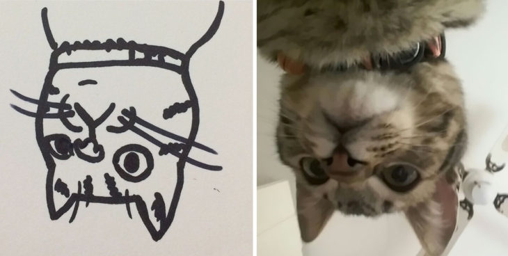 dibujo gato