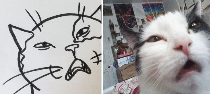 dibujo gato