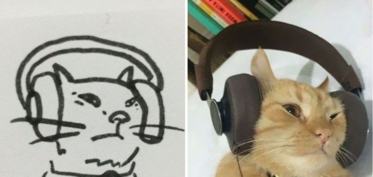 dibujo gato