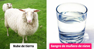 Divertida cuenta de Twitter da nuevo nombre a los objetos; ‘No es una cebra, es un pony prisionero’