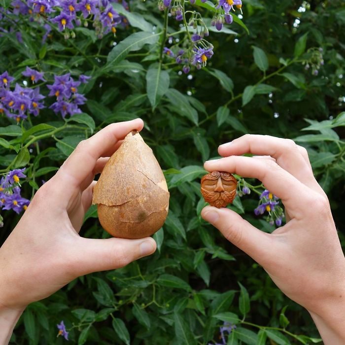 Esculturas con semillas de aguacate 