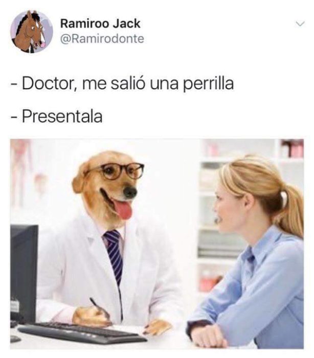 Meme del doctor perro 