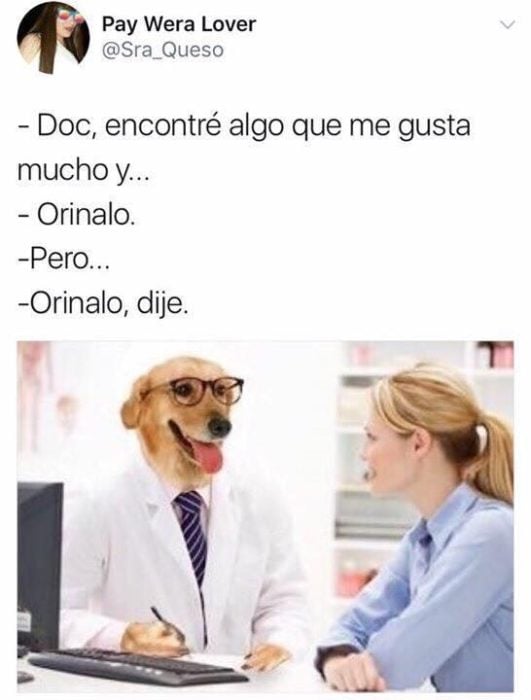 Meme del doctor perro 