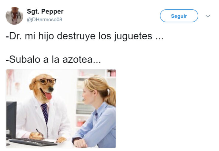 Meme del doctor perro 