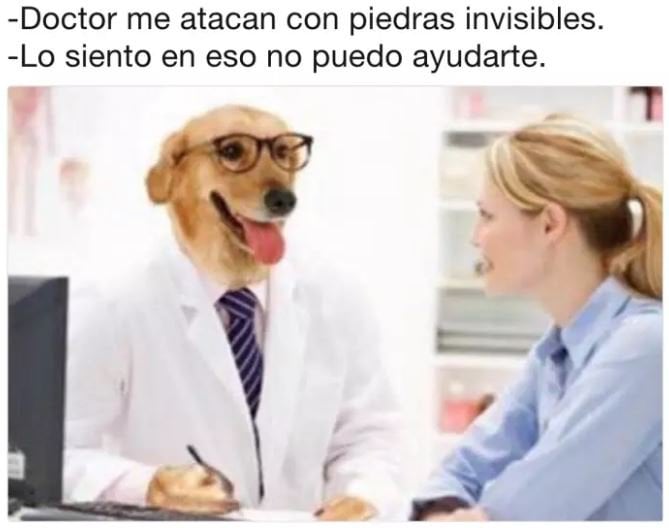 Meme del doctor perro