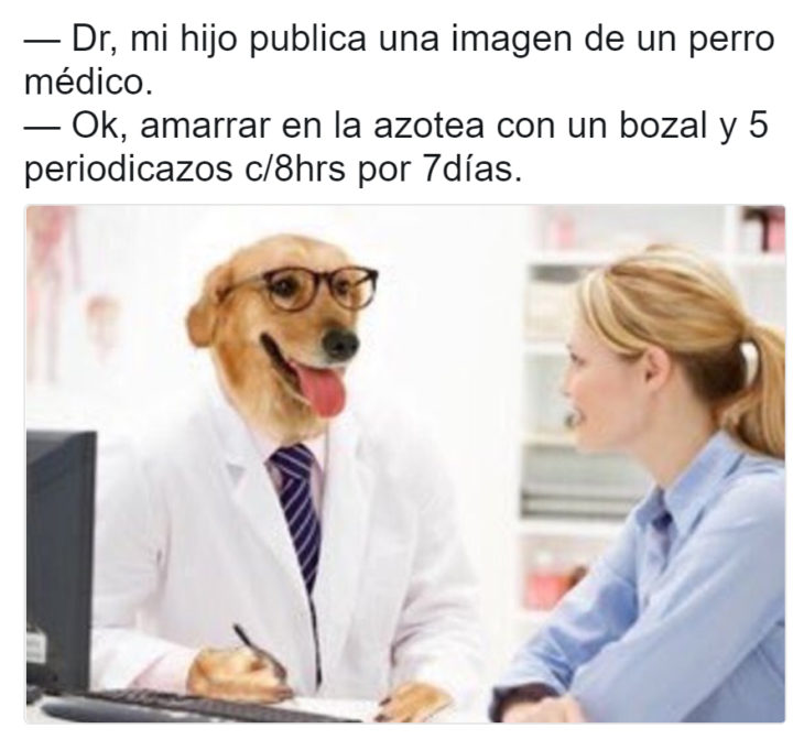 Meme del doctor perro 