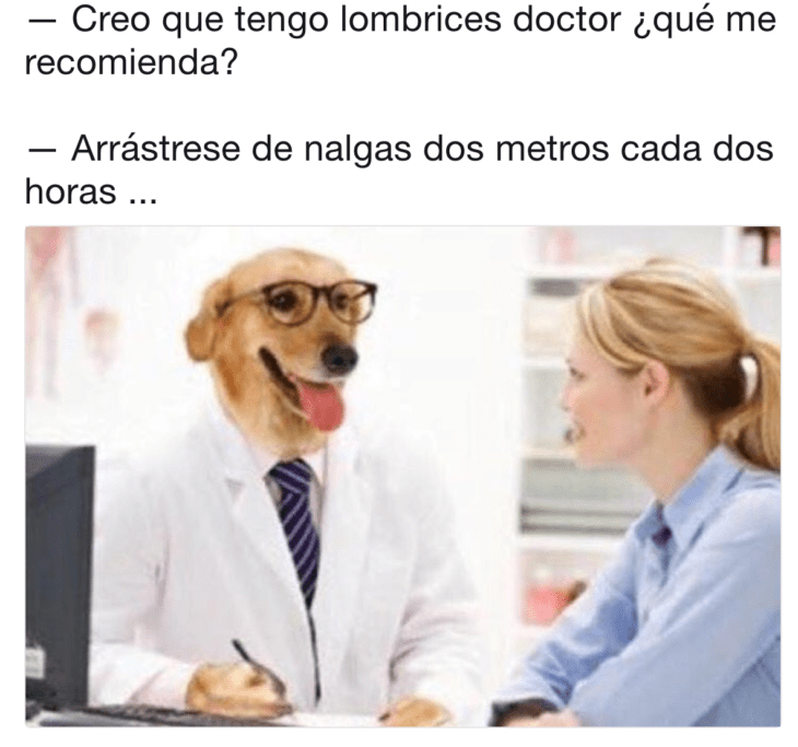 Meme del doctor perro 