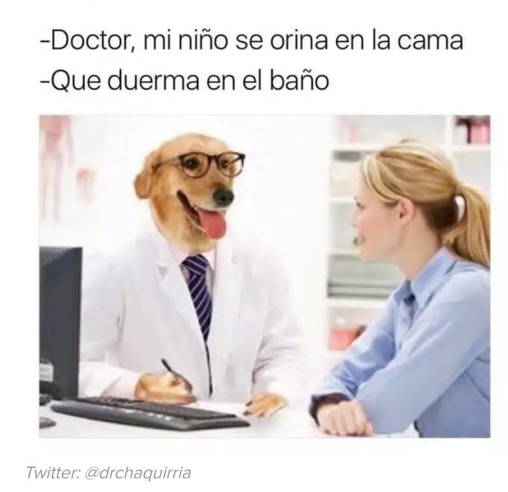 Meme del doctor perro 