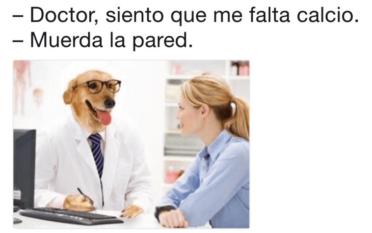 Meme del doctor perro 