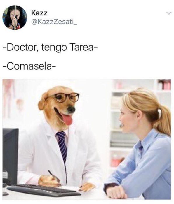 Meme del doctor perro 