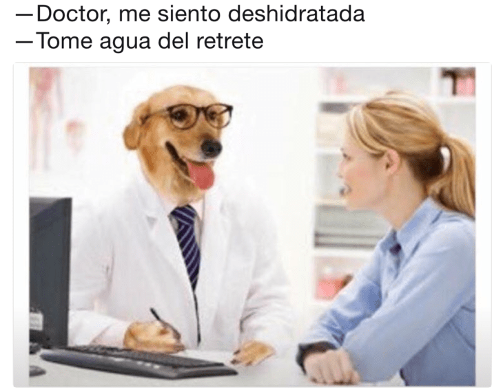 Meme del doctor perro 