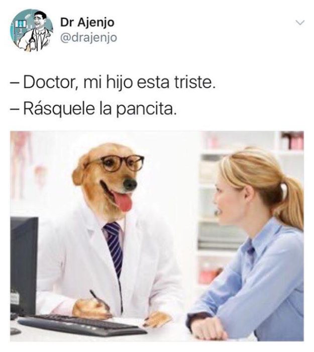 Meme del doctor perro 