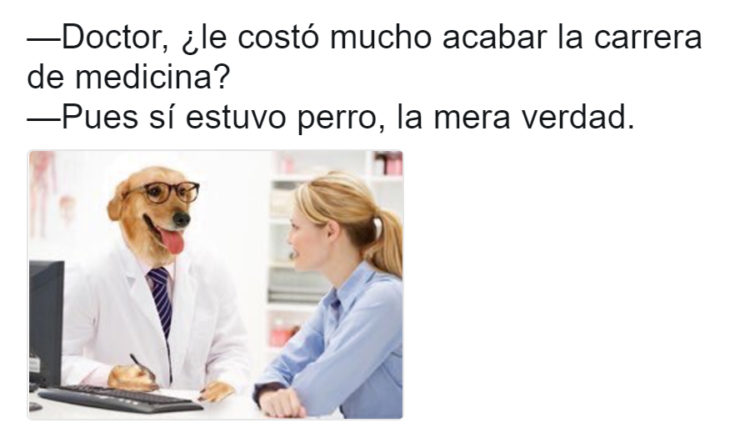 Meme del doctor perro 