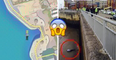 Quedó atrapado y compartió su ubicación en Snapchat mientras lo rescataban; Internet muere de risa