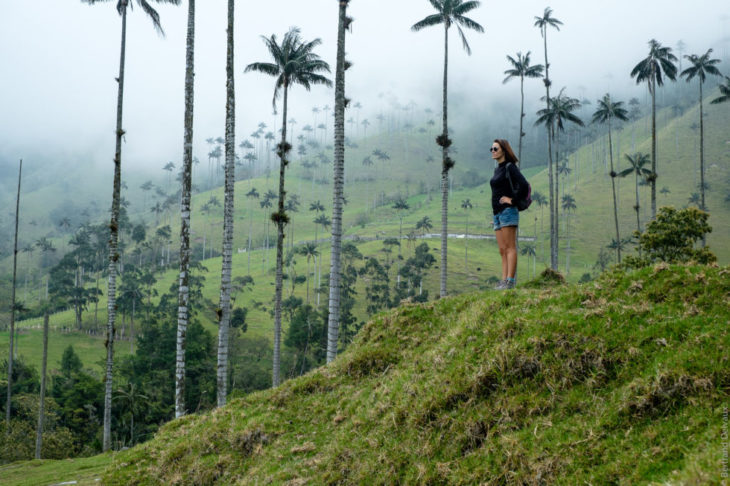 Valle cocora 