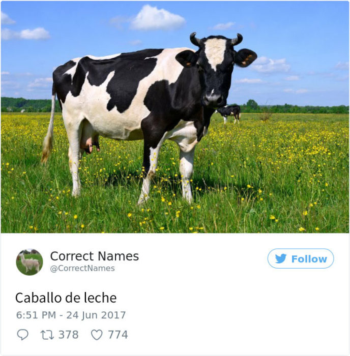 caballo de leche