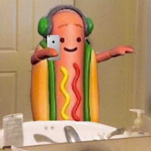 hotdog snapchat 6