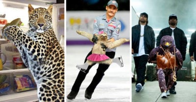 25 Épicas imágenes que han ganado las mejores batallas de Photoshop; el resultado es sublime