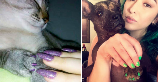 Combinar manicura con tu mascota es la nueva tendencia; te hará sentir como la dueña más diva