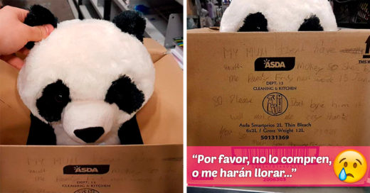 Este niño dejó una conmovedora nota de peluche porque su mamá no podía comprárselo, lo que sucedió después es increíble 