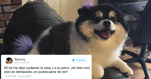 Esta mujer tiene miedo de dejar a su perro con el niñero y le escribe una lista de reglas