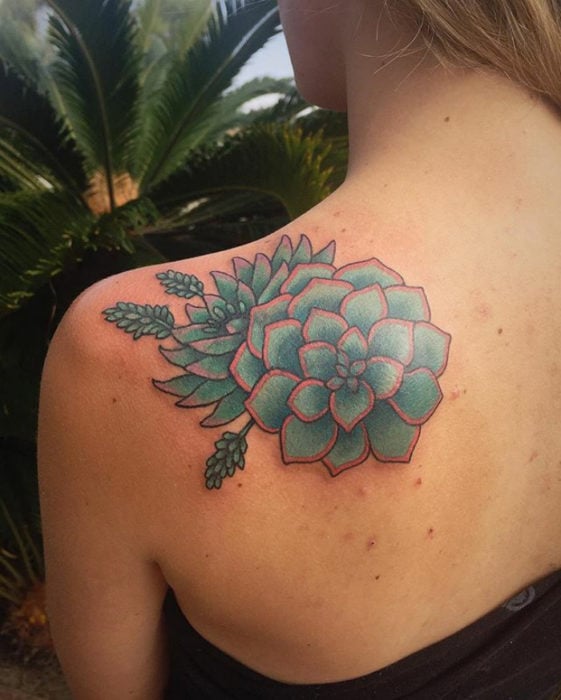 tatuajes suculentas 21