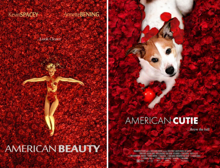 Poster de American Beauty con un perro como protagonista