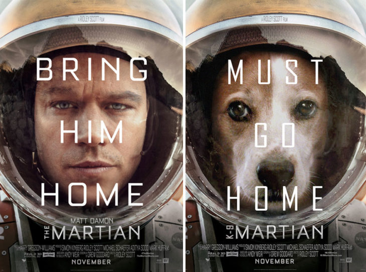 Bring Him Home póster con perro como protagonista