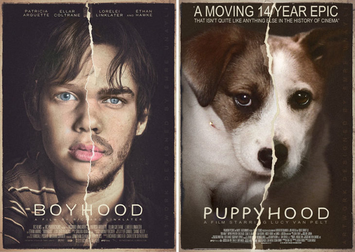 Boyhood póster con perro como protagonista