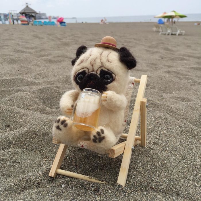 Pug de lana sentado en la playa