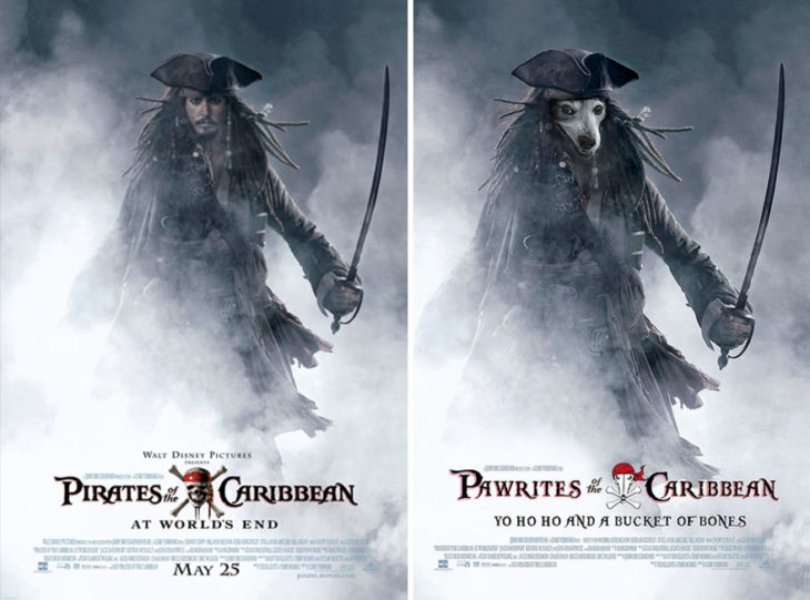 pirates of the caribbean póster con perro como protagonista