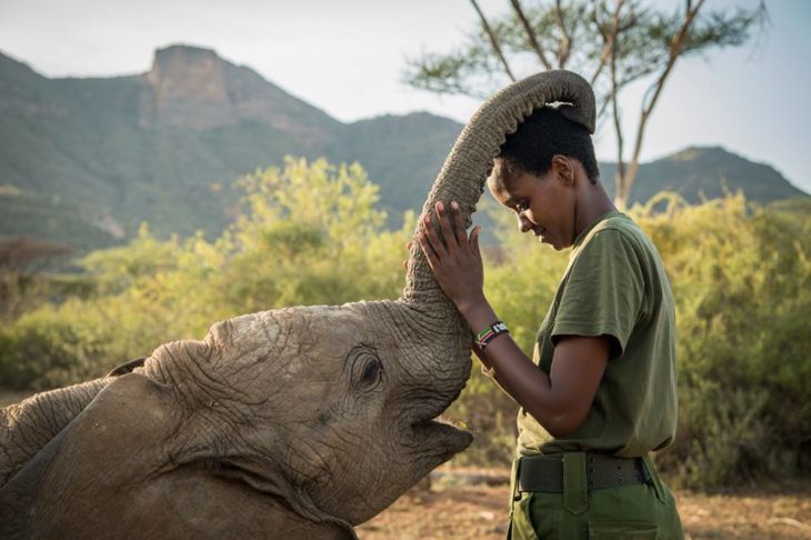 Mary Lenses elefante dream big princess