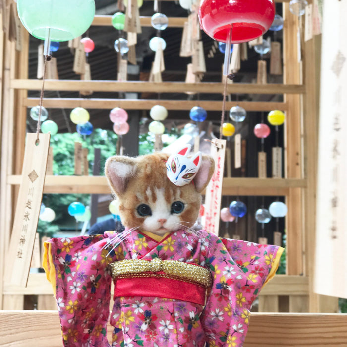 Gata de lana con kimono rosa