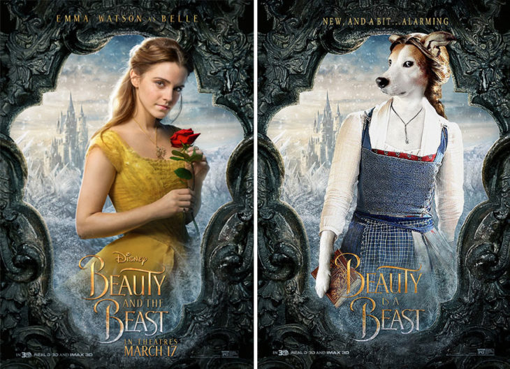 beauty and the beast póster con perro como protagonista