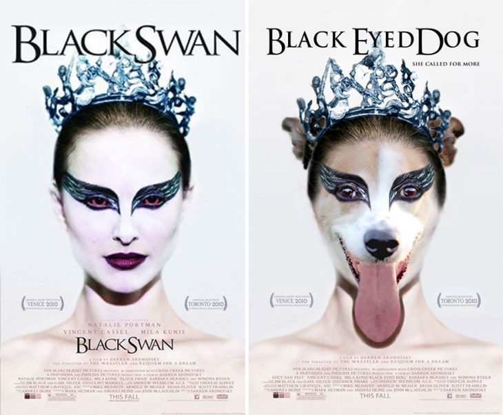 black swan póster con perro como protagonista